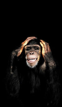  Abstract Monkey Wall Art Canvas