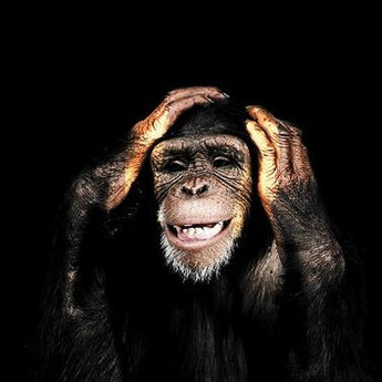  Abstract Monkey Wall Art Canvas