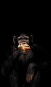  Abstract Monkey Wall Art Canvas