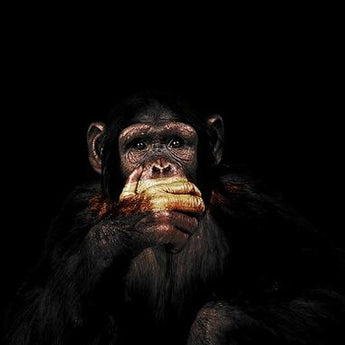  Abstract Monkey Wall Art Canvas